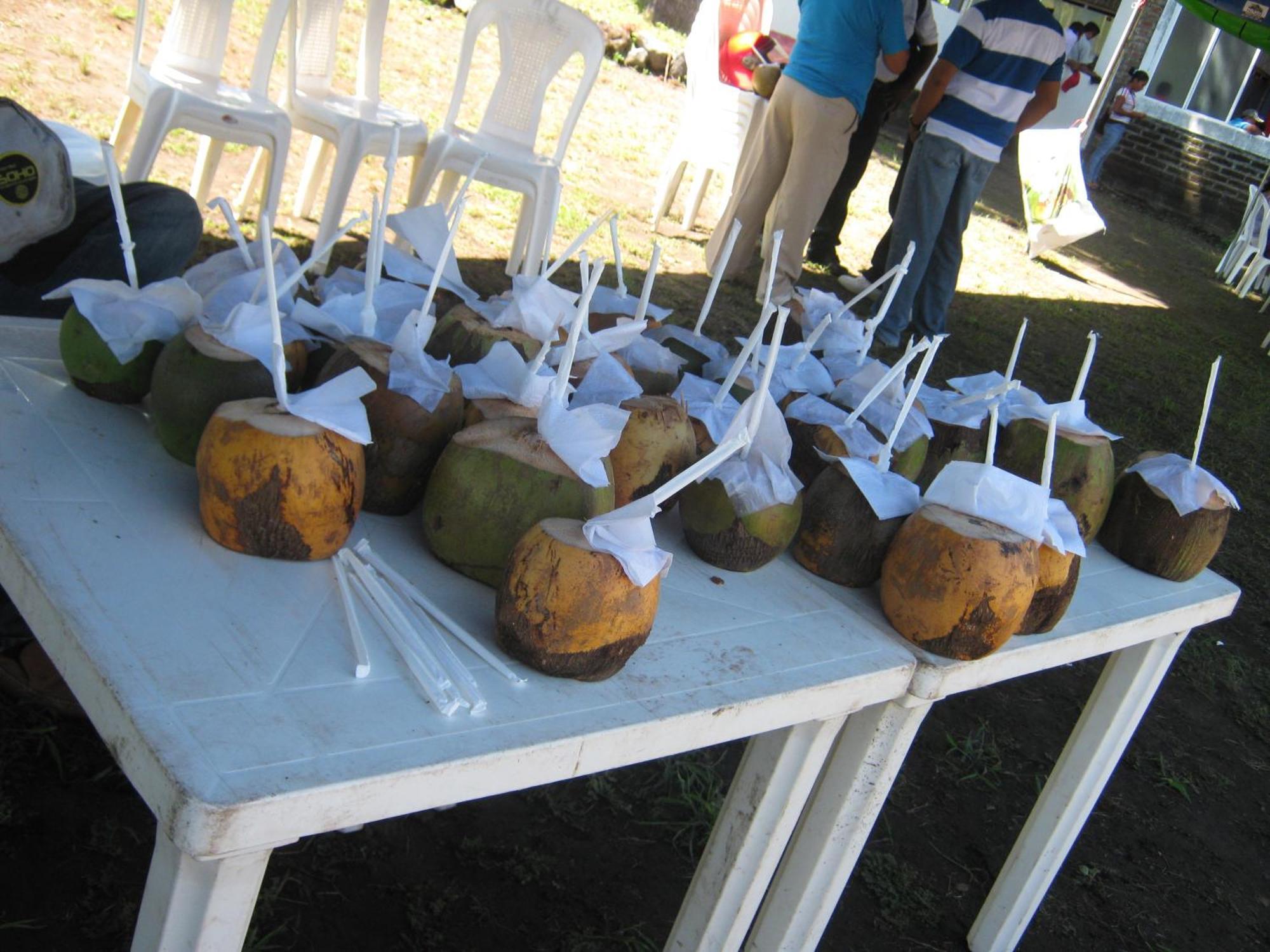ホテル El Mirador Ecologico, Ometepe Altagracia 部屋 写真
