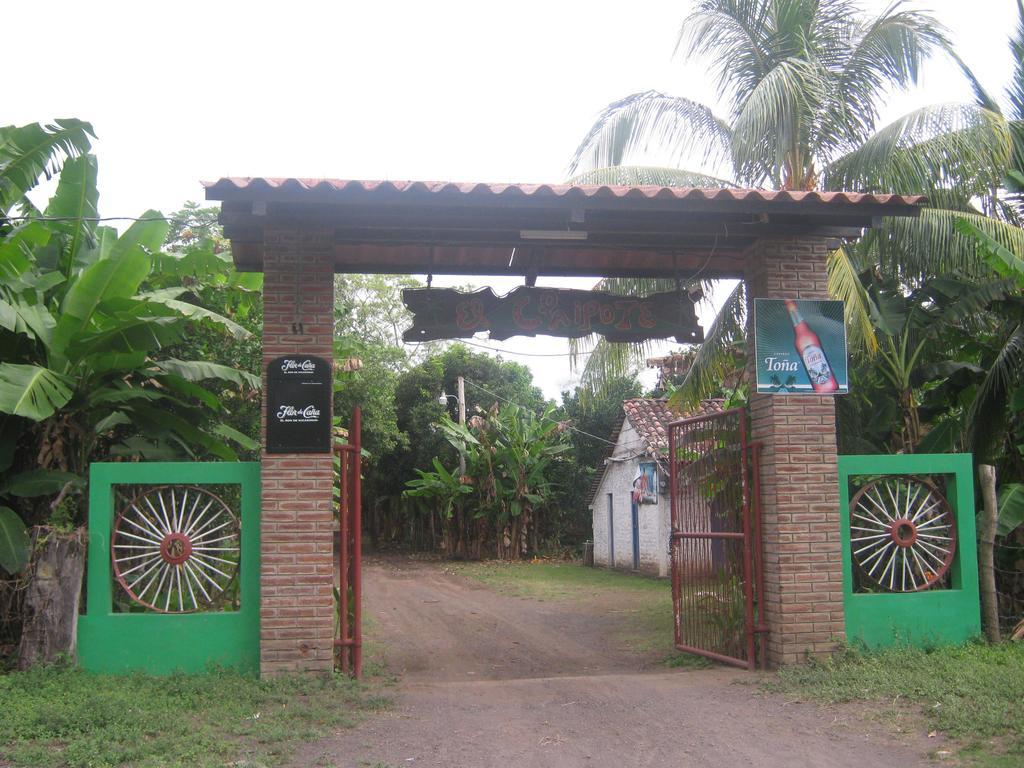 ホテル El Mirador Ecologico, Ometepe Altagracia エクステリア 写真